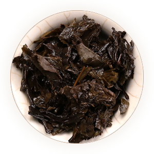 安化黑茶叶底