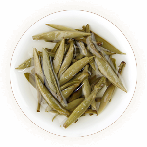 政和白毫银针叶底