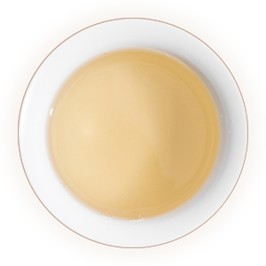 政和白毫银针汤色