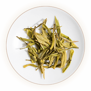 莫干黄芽叶底