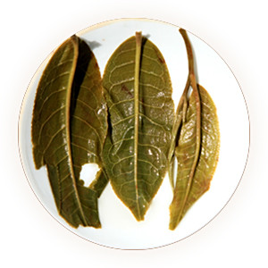 邦崴普洱茶叶底