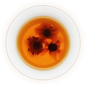 昆仑雪菊茶叶底