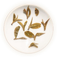 猫耳朵普洱茶叶底